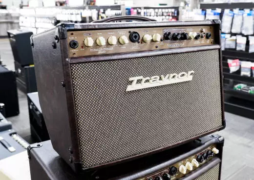 Store Special Product - Traynor - 2-Channel Compact Stereo Acoustic Guitar Amp - 65 Watts